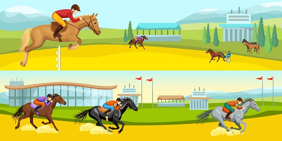 Cartoon illustrations of different types of horse riding competitions